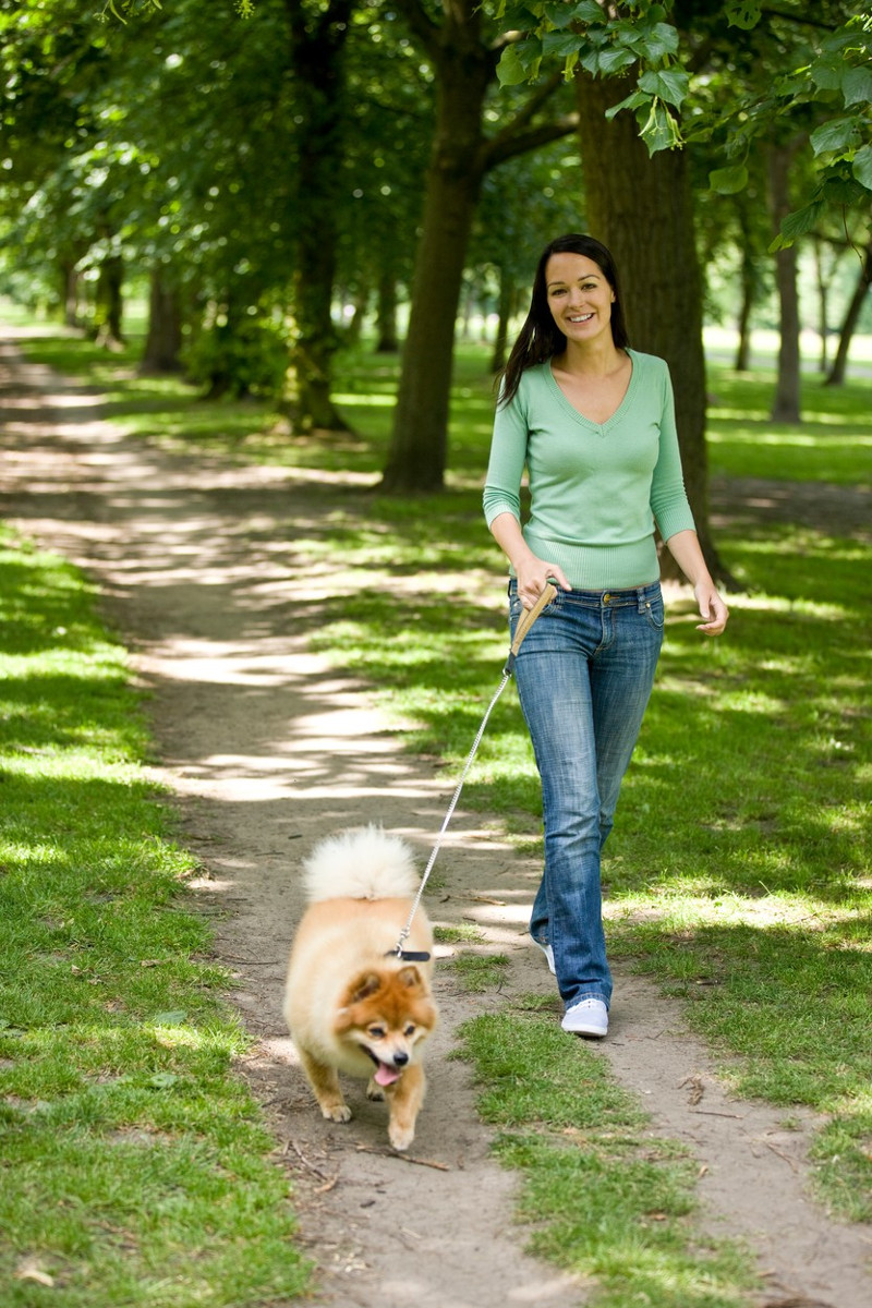 Kate likes to walk along. Take the Dog for a walk. Walk the Dog. Taking a Dog for a walk. Take a Pet for a walk.