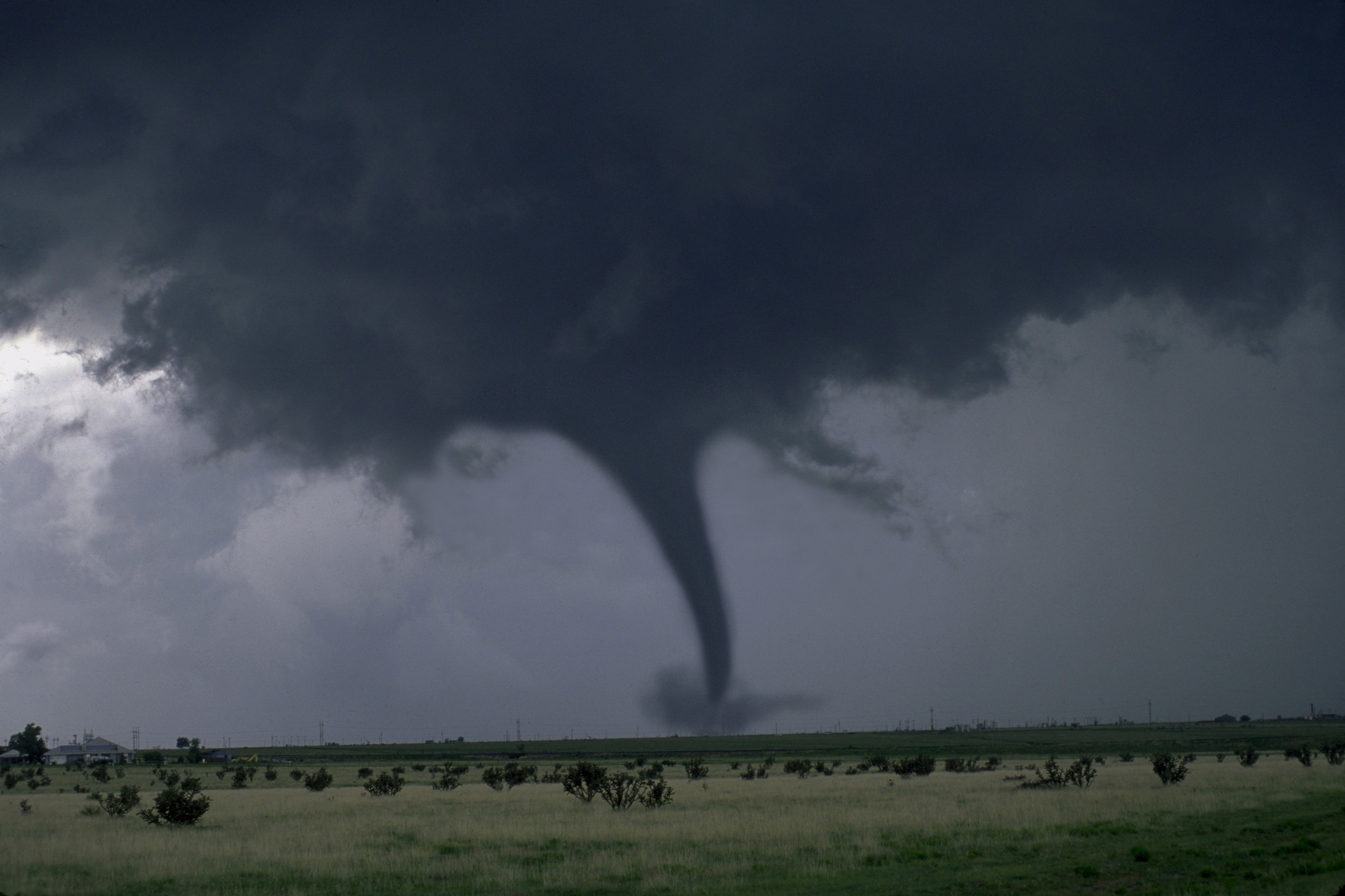 Tornadoes are very. Канзас Элли ураган. Элли Торнадо. Элли домик ураган. В погоне за ураганом Дискавери.