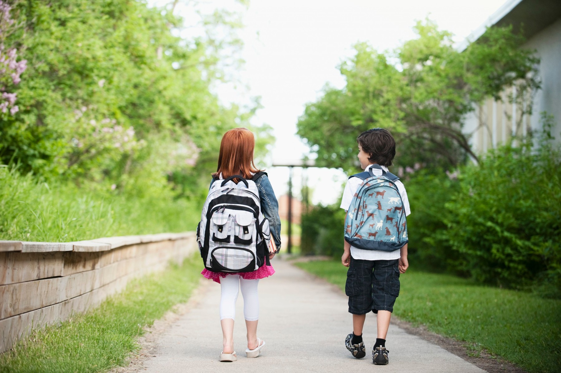 Walk to school. Away from School. Rush to School. Frank go to the School with his sister.