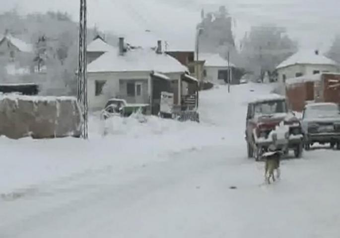 Vranje, ubistvo na Svetog Nikolu