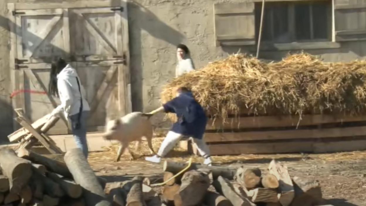 Panika u rijalitiju, plaše se njihovog napada - zbog jedne greške nastao opšti haos (VIDEO)